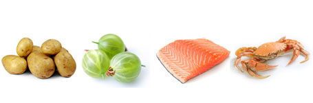 Food In Season