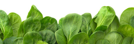 Spinach