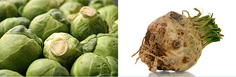 Sprouts and Celeriac