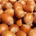 Hazelnuts