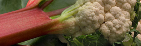 Rhubarb and Cauliflower