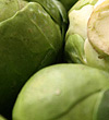 Sprouts
