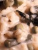 Lemon and Mint Risotto