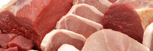 Atkins Diet Food