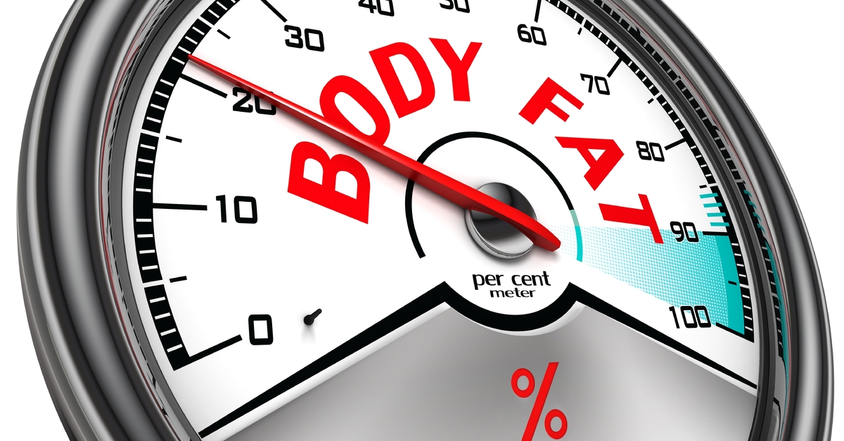 Body Fat Percentage Weight Loss Resources