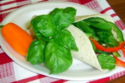 Chicken, Spinach and Pepper Wrap