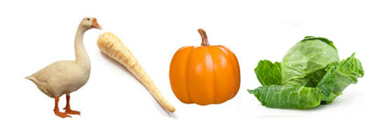 Food in Season November