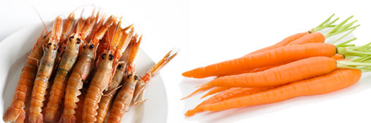 Food In Season January
