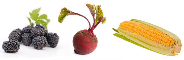 Great Seasonal Food For September