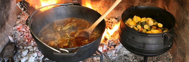 Food South Africa