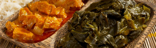 Spinach & Squash Curry