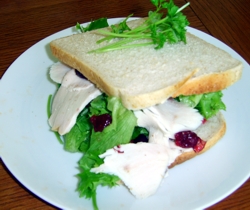 Turkey and Cranberry Sandwich