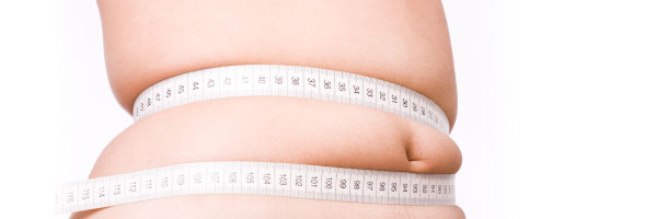 What Makes Us Fat