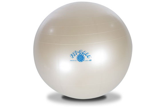 exercise chart for weight loss. FitBall - 65cm Exercise Ball